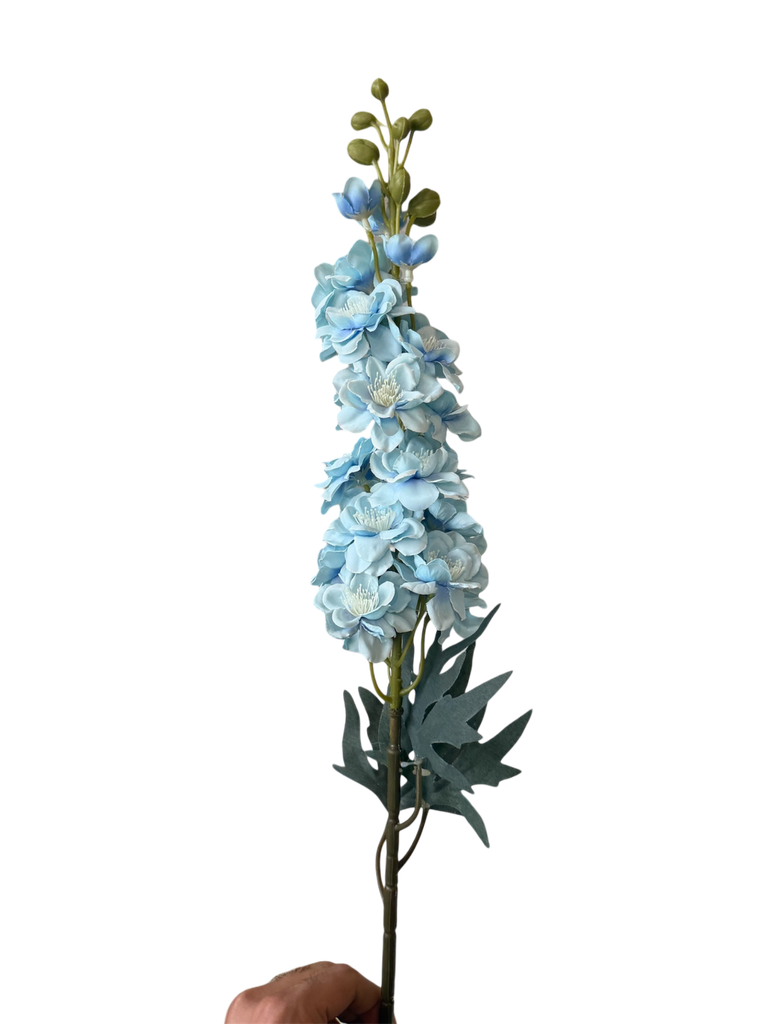 وێستریا شین