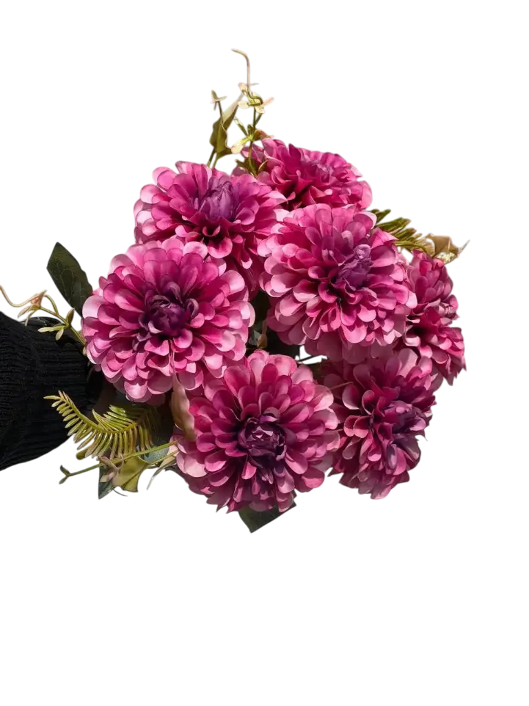 =_xlfn.TRANSLATE(C20,"en","ar")