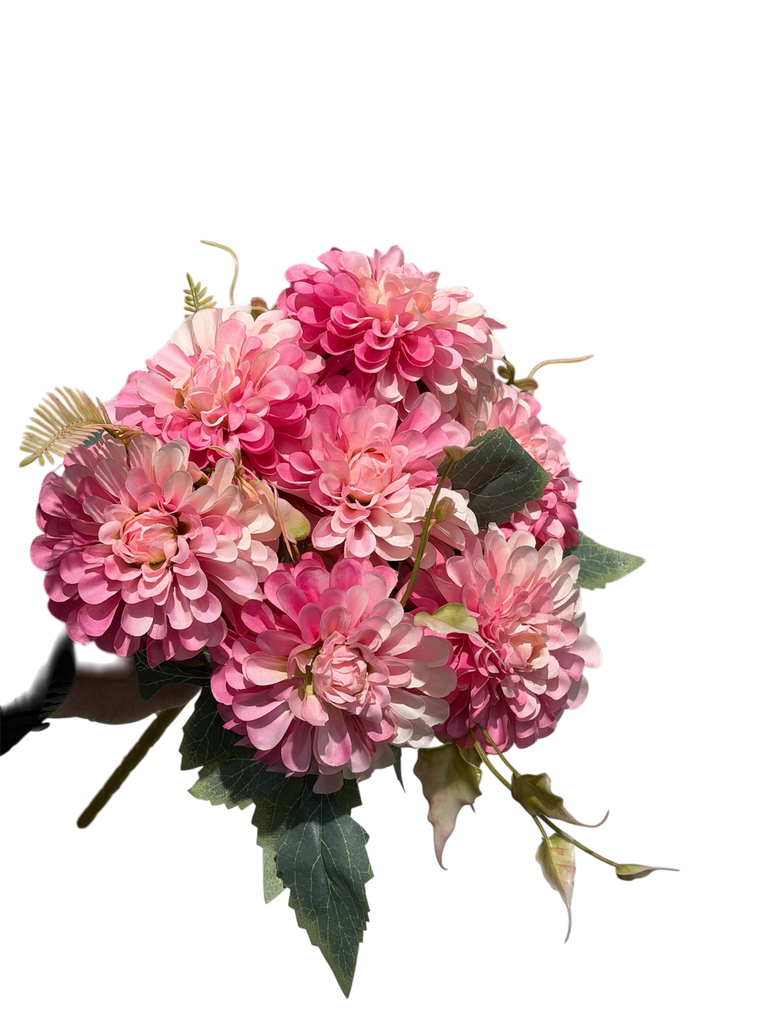 pink carnation flower