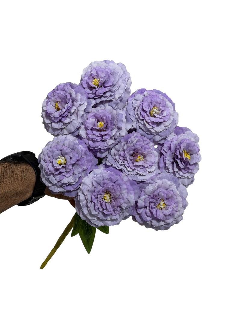 زهرة القرنفل البنفسجية