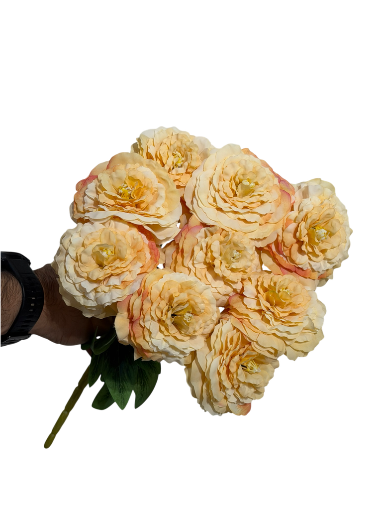 brown carnation flower