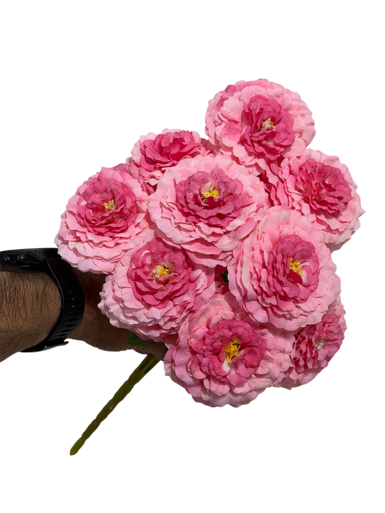 pink carnation flower