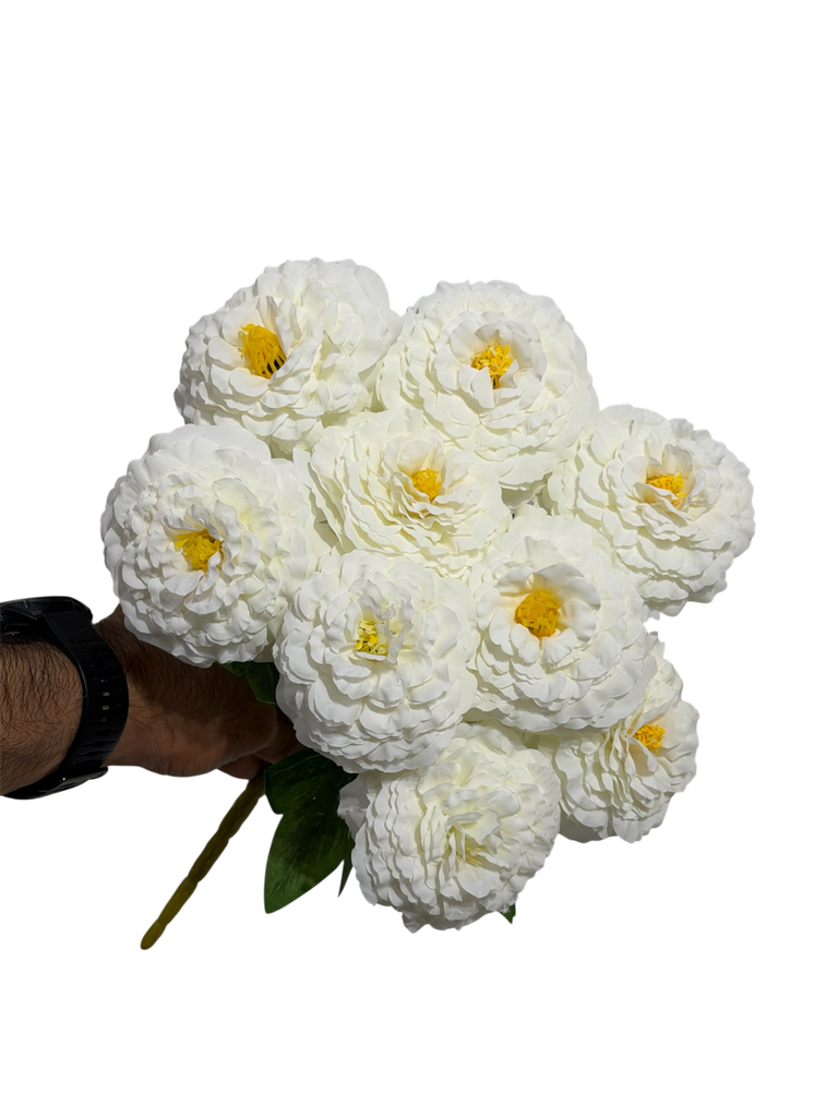 white carnation flower