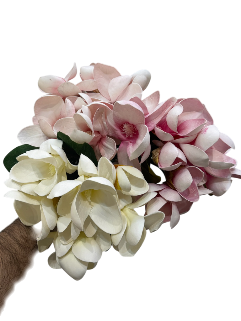 زهرة الماغنوليا