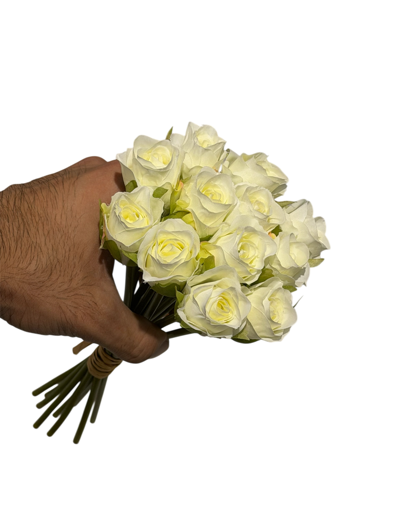 white baby rose