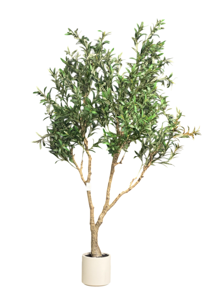 olive tree 210 cm