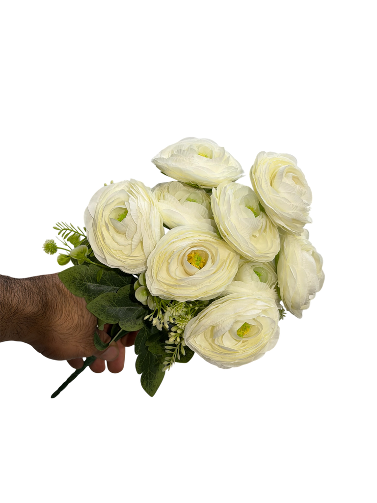 Ranunculus flower white