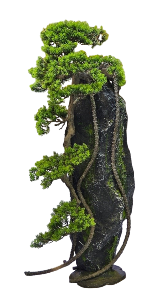 شجرە بونسای