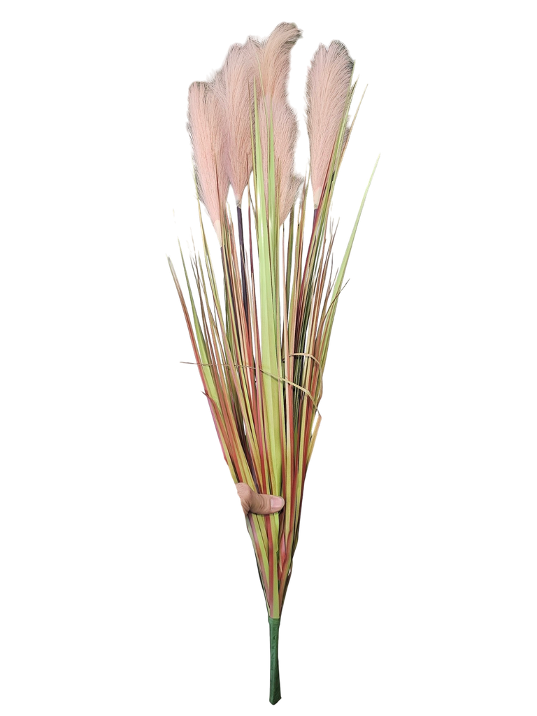 pampas grass