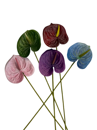 ئەنثریوم