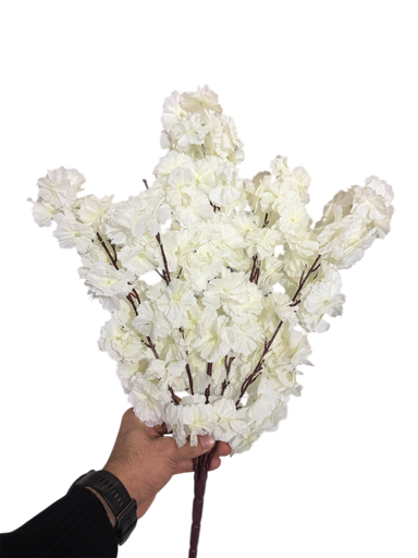 کلکی ڕێوی کرێمی