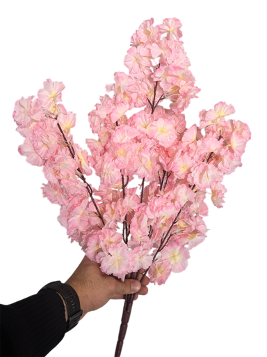 ذيل الثعلب الوردي