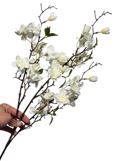 Creamy Cherry Blossom