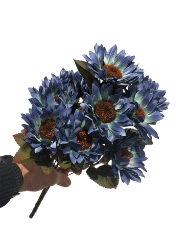 عباد الشمس البنفسجي