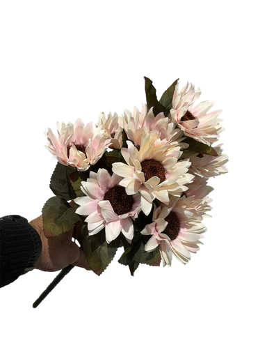 چەپکی گوڵەبەڕۆژە پەمبە