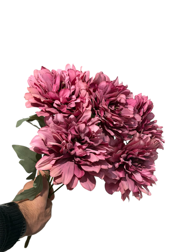 چەپکی جەربێرە هەناری