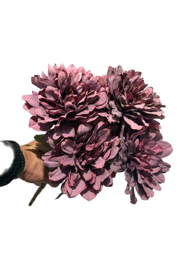 چەپکی جەربێرە جەرگی