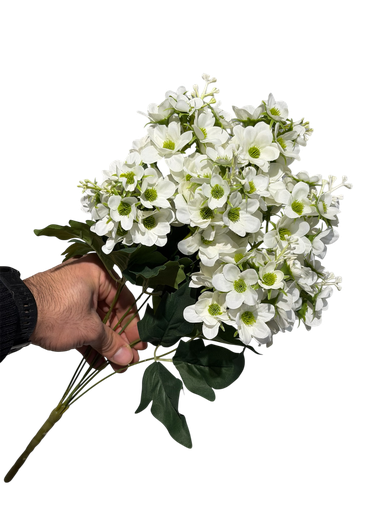 چەپکی بەیبون سپی