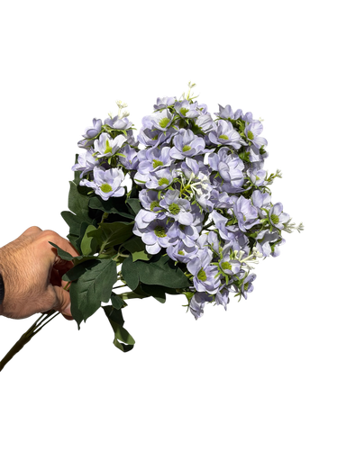 زهرة الأقحوان البنفسجية