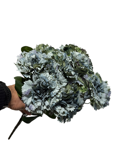 blue carnation flower