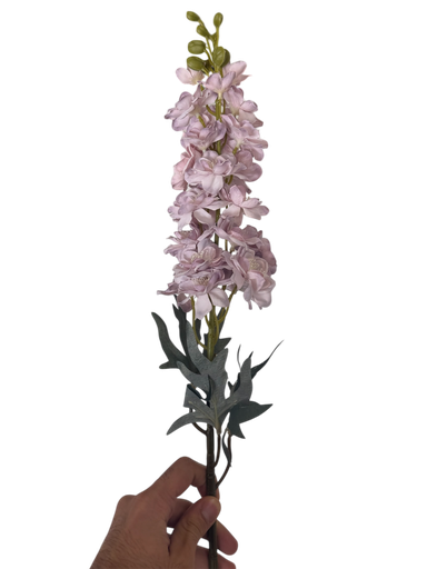 وێستریا مۆر