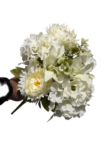 چەپی گوڵی  سپی