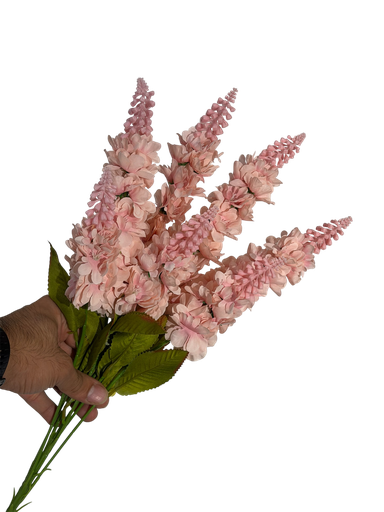 pink rose