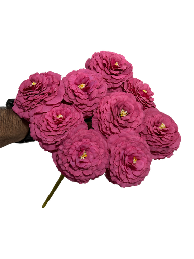 burgundy carnation flower
