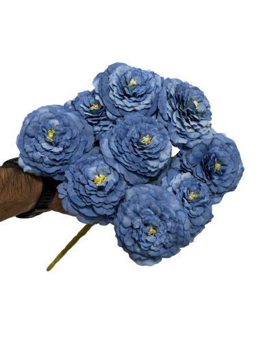 blue carnation flower
