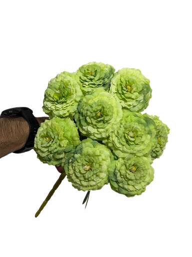 green carnation flower