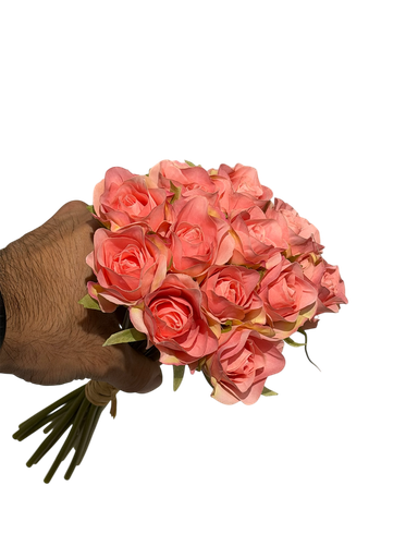 pink baby rose