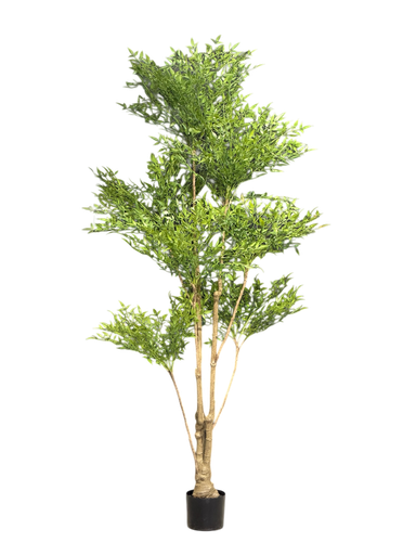 nandina tree 210cm