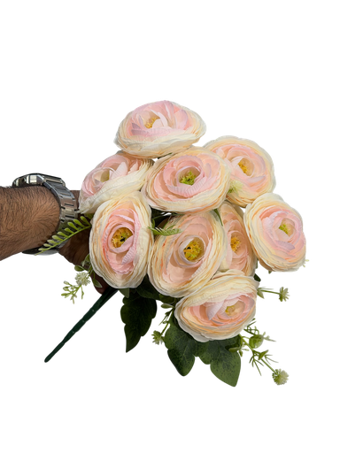 Ranunculus flower  pale pink