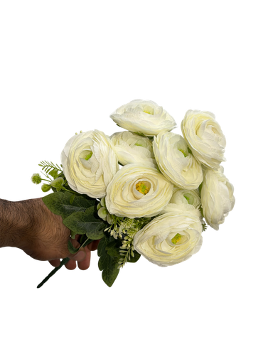 Ranunculus flower white