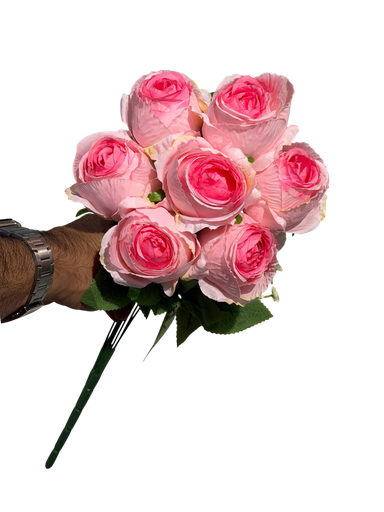pale pink rose
