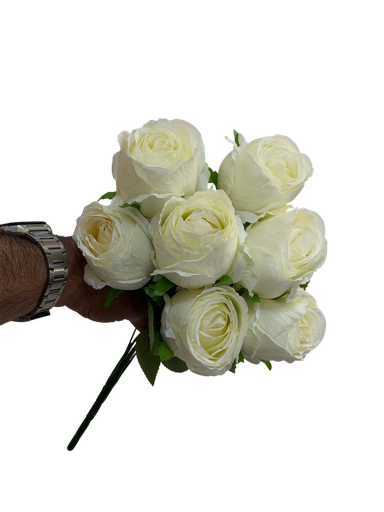 گوڵەباخی سپی