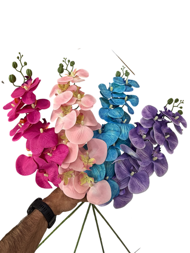 orchid