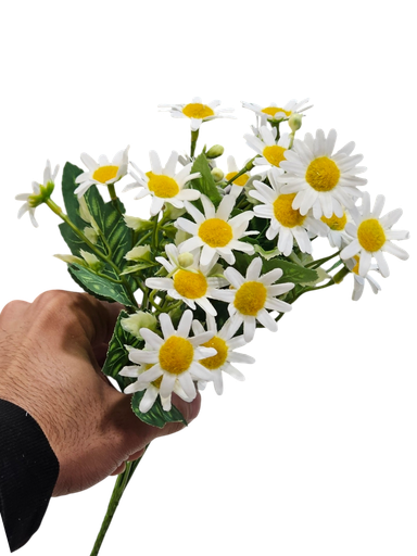 تاکی حاجیلە