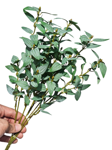 چەپکی سەوز