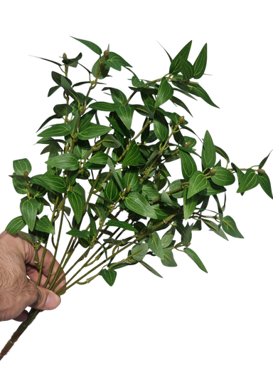 چەپکی سەوز
