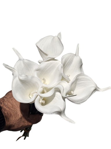 گالە