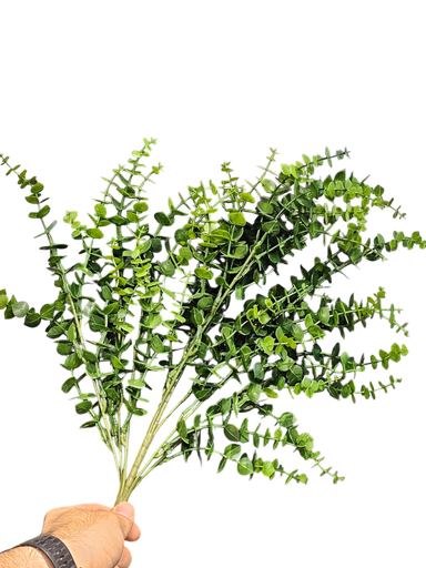 چەپکی سەوز