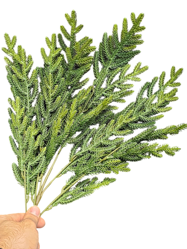 چەپکی سەوز