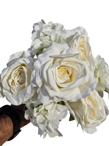 گوڵی ئۆفوایت