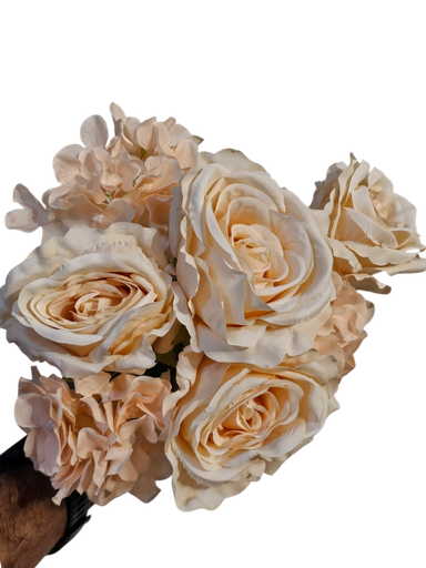 گوڵی پەمبە