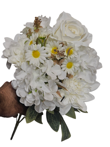 چەپکی گوڵی سپی