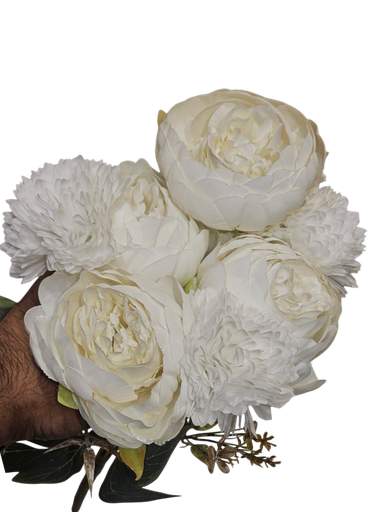 چەپکی گوڵی سپی