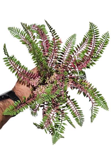 چەپکی سەوز UV