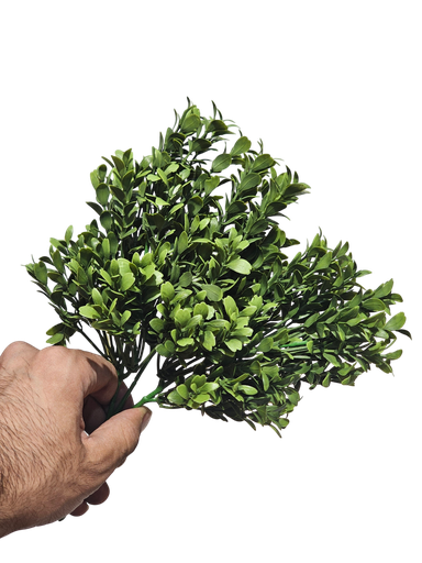 چەپکی سەوز UV