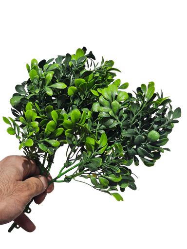 چەپکی سەوز UV